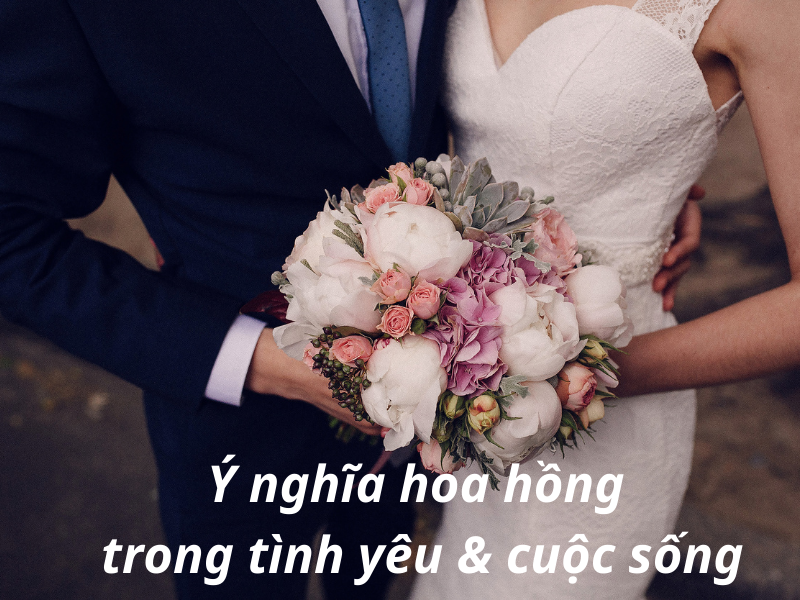 hoa-hong-do-bieu-tuong-tinh-yeu
