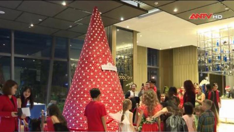Hoa kết hợp với cây thông noel