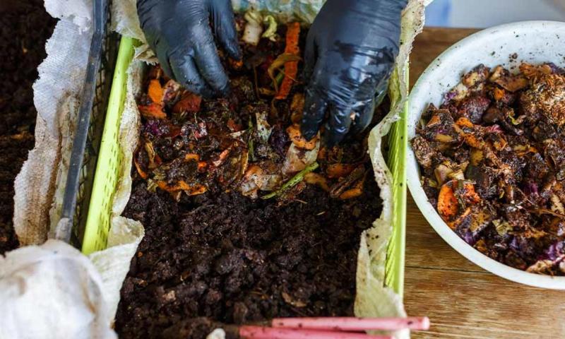 Hộp nuôi giun quế chất liệu nhựa cho vườn hoa