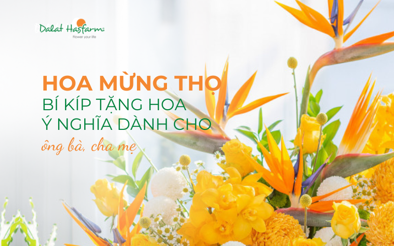 Lẵng hoa mừng thọ ông bà đẹp và ý nghĩa