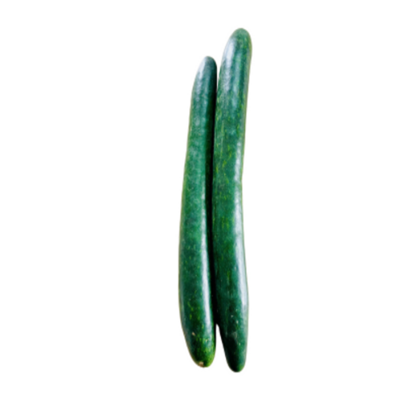 Một món ăn ngon được chế biến từ bí đao (winter melon), thể hiện ứng dụng phổ biến của nó trong ẩm thực