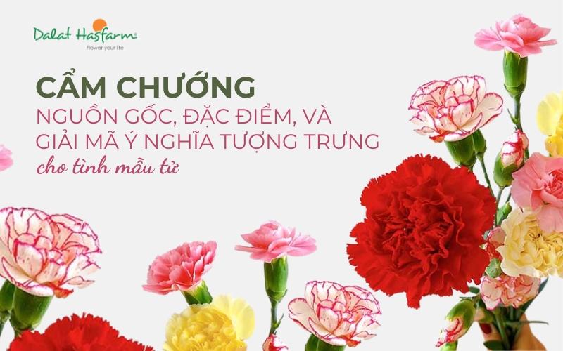 nguon-goc-hoa-cam-chuong-dia-trung-hai