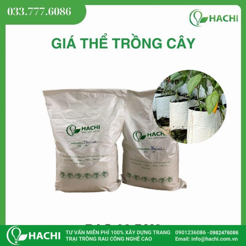 Cach pha tron dat trong cay canh co ban tu cac thanh phan pho bien giup tao ra hon hop dat toi uu cho cay.