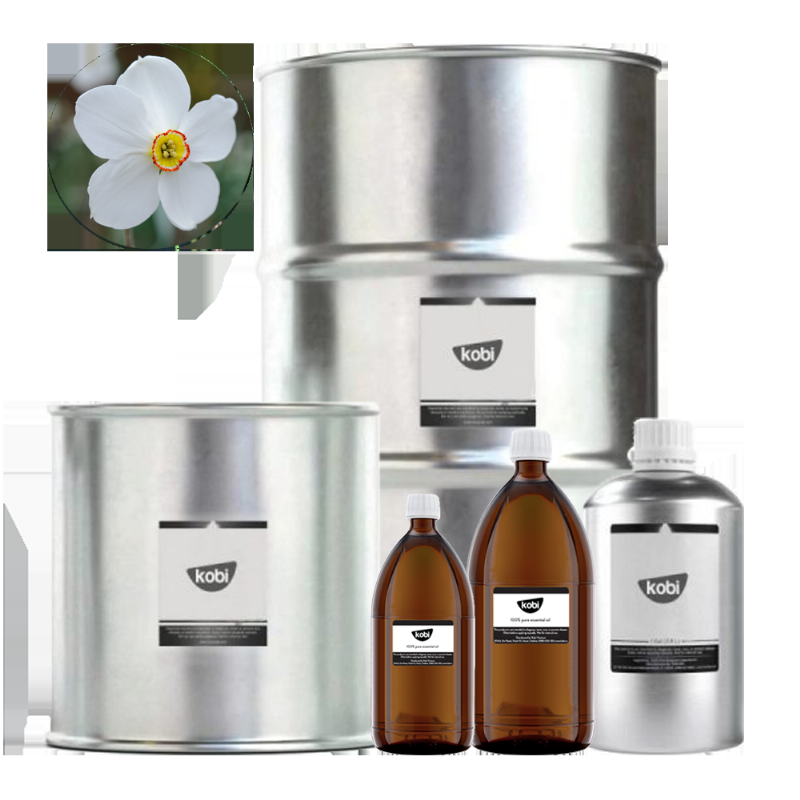 Bảng so sánh đặc điểm giữa bách thủy tiên và các loại thủy tiên phổ biến khác.