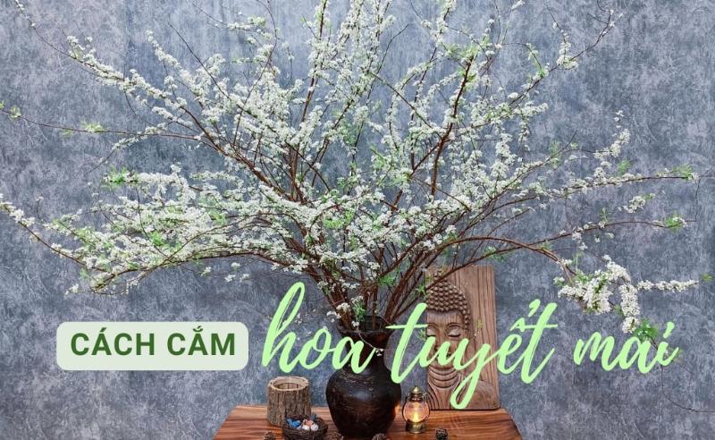 Hình ảnh bình hoa tulip theo phong cách tối giản, chỉ với vài cành được cắm đơn giản trong bình thủy tinh.