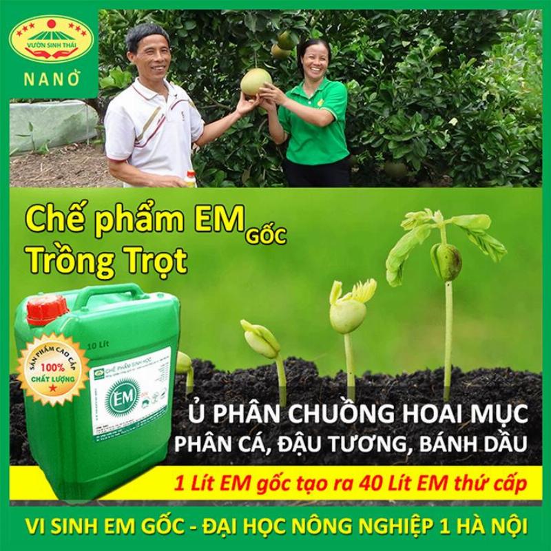 Tưới dung dịch chế phẩm EM pha loãng cho cây hoa trong vườn.