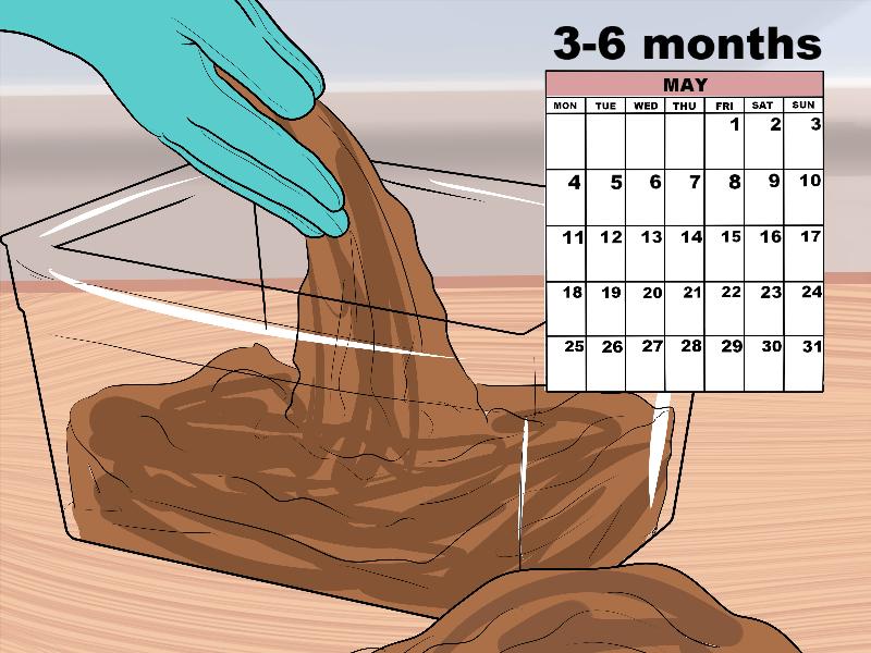 Thả giun quế vào hộp nuôi một cách nhẹ nhàng