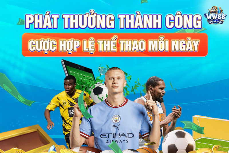 Hình ảnh một vườn hoa rực rỡ, đầy sức sống, thể hiện thành quả của quá trình chăm sóc tốt, bao gồm cả việc sử dụng phân vi sinh