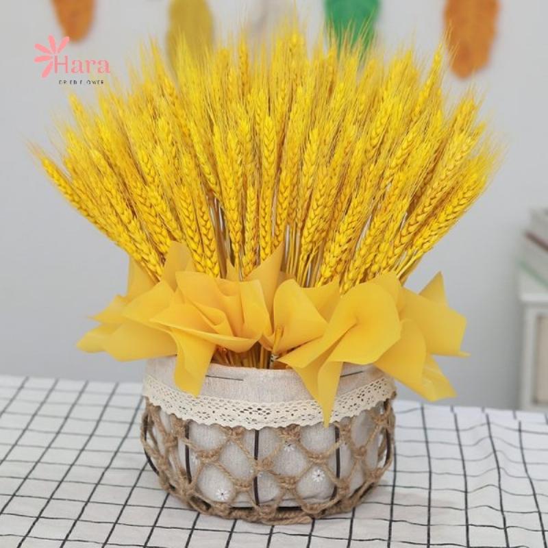 Ảnh bình hoa bất tử được đặt trong không gian trang trí nhà