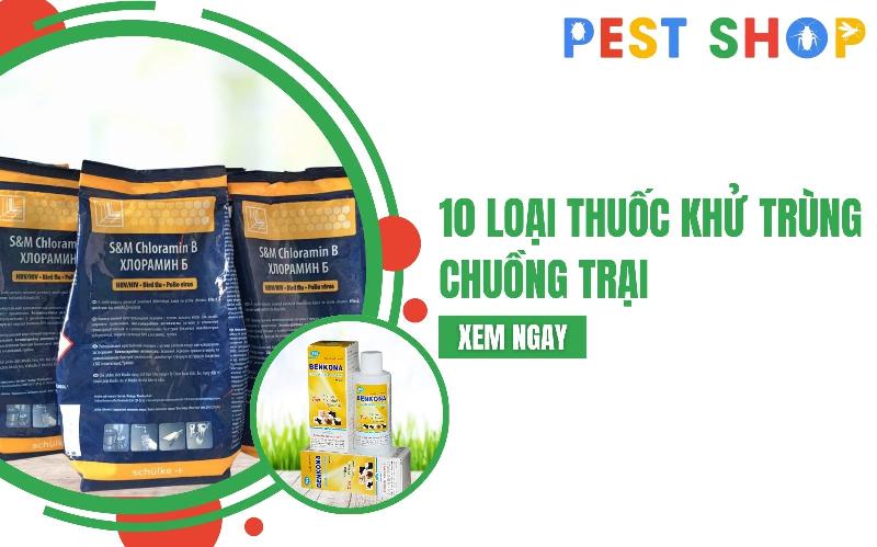 Cách bảo quản bình phun thuốc sâu bằng điện sau khi sử dụng, đảm bảo sạch sẽ và khô ráo.