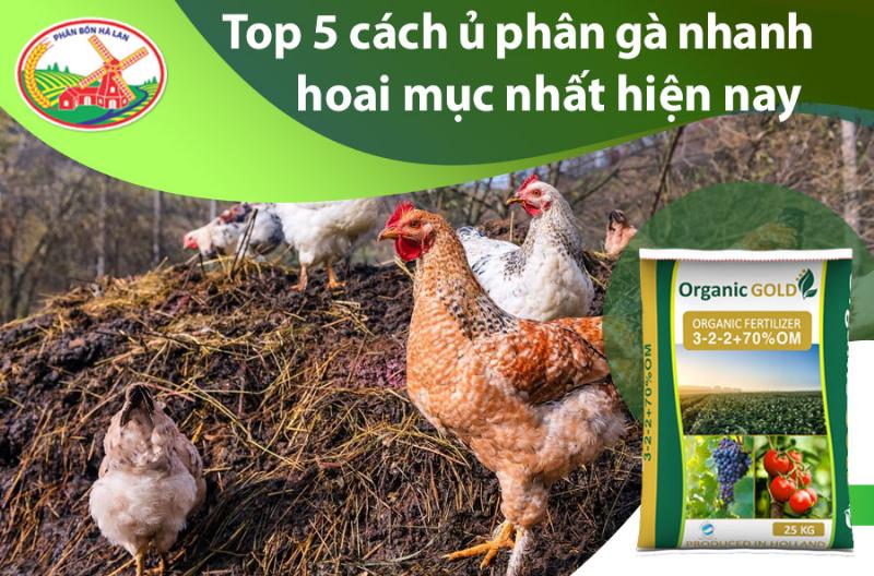 Cac loai vat lieu can thiet de u phan ga