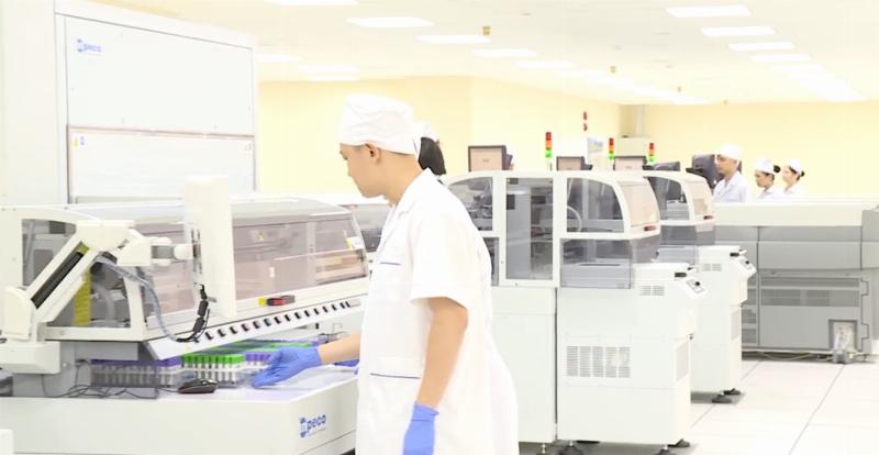 Các yếu tố chính ảnh hưởng đến giá 1 bó hoa bao nhiêu tiền: loại hoa, số lượng, phong cách bó và phụ kiện
