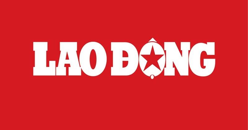 Hướng dẫn cách chăm sóc hoa hướng dương đơn giản tại nhà