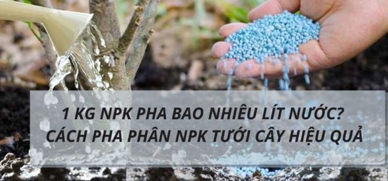 Hướng dẫn chi tiết cách pha phân NPK 20-20-15 dạng hòa tan để tưới hoặc phun cho cây phát triển tốt
