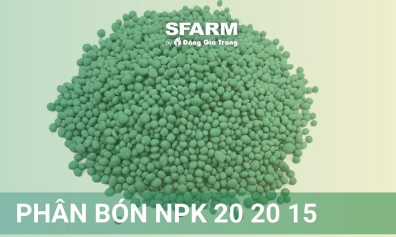 Hinh anh cay xanh tot phat trien khoe manh nho bon phan npk 20-20-15