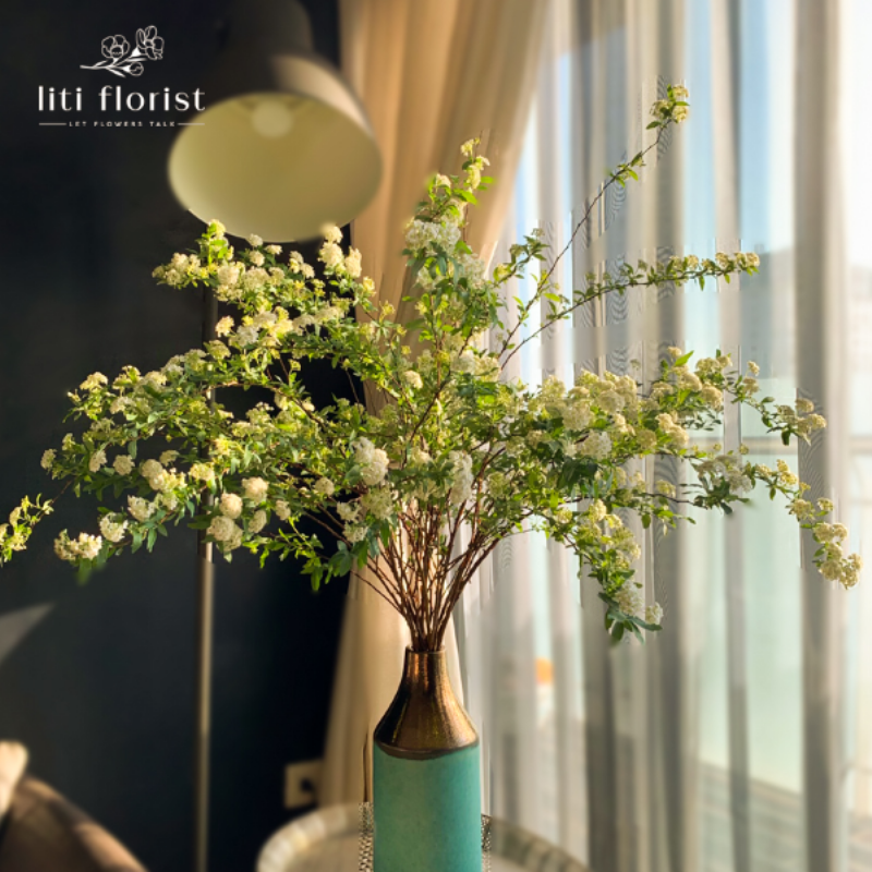 Một người đang nhẹ nhàng phun sương lên cành hoa tuyết mai trắng trong bình, minh họa cách tăng độ ẩm cho hoa cắm cành.