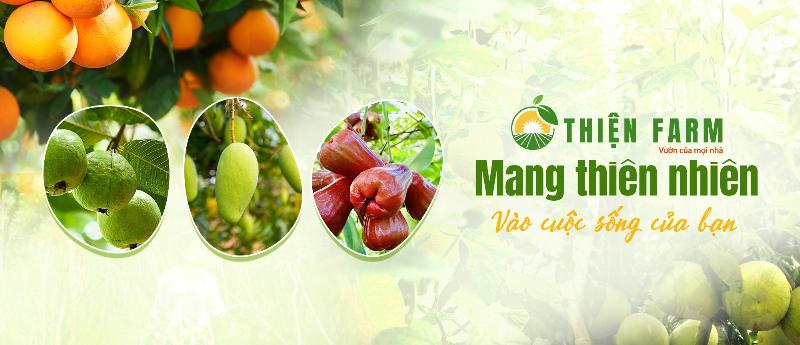 Một người đang xem xét các loại cây khác nhau tại vườn ươm để chọn cây trồng cho ban công của họ.