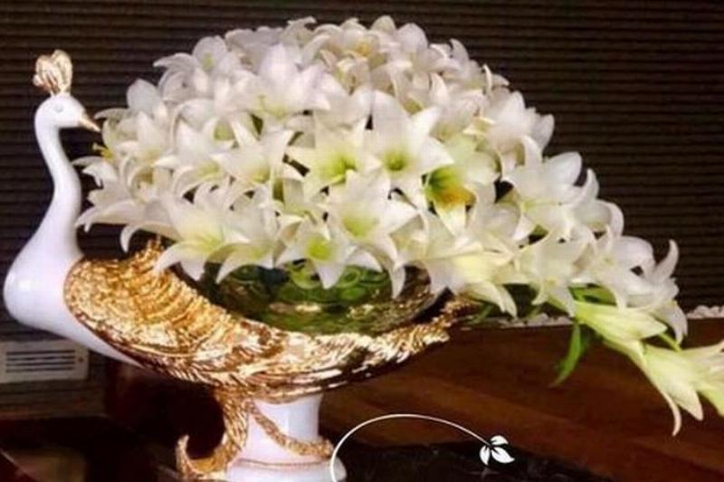 Cách chọn những cành hoa loa kèn tươi nhất để cắm bình hoa đẹp và bền lâu tại nhà