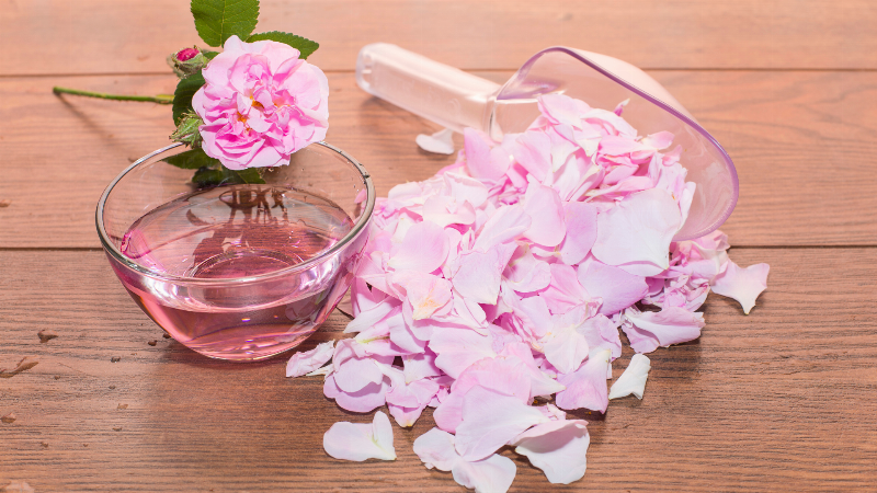 Chọn lọc hoa tulip tươi đẹp cho bình hoa nhà bạn, đảm bảo cành khỏe, bông căng mọng.