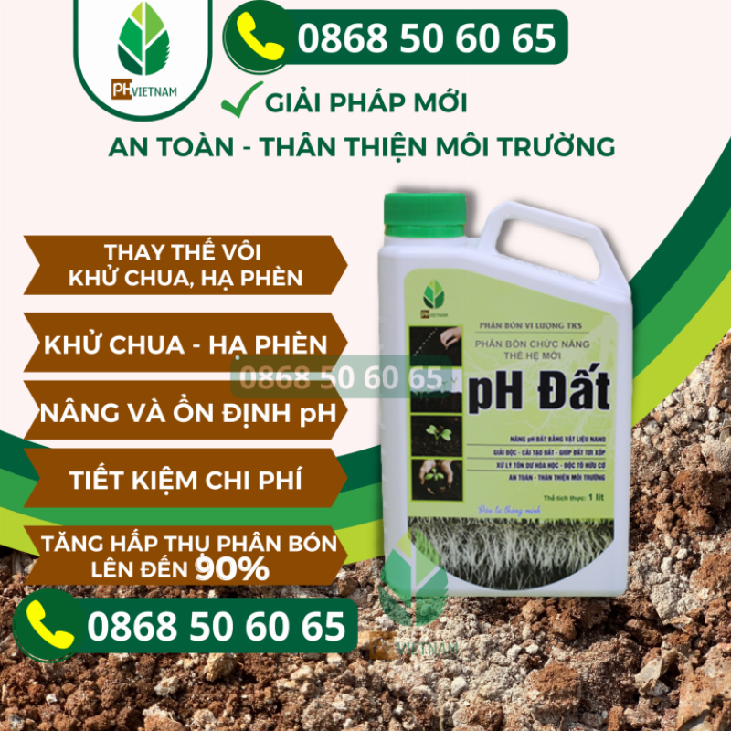 Hình ảnh đất tơi xốp và phân hữu cơ chuẩn bị để trồng hoa hướng dương, minh họa cho việc cải tạo đất