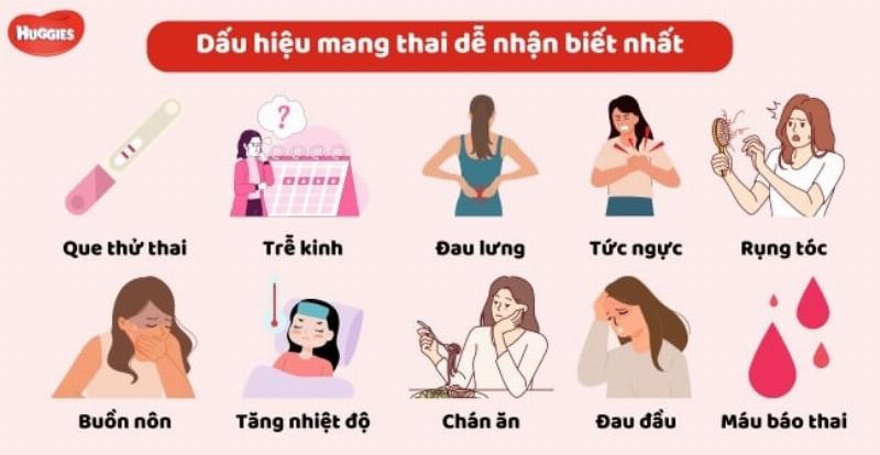 Những đặc điểm của hoa thu hút các loài thụ phấn như màu sắc, hình dáng và mùi hương, giải thích vai trò của thụ phấn là quá trình quan trọng