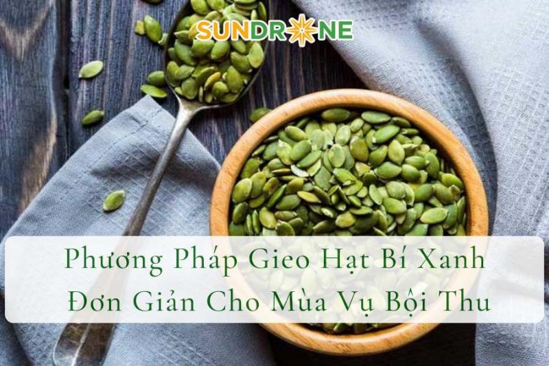 Hạt giống bí xanh trên lớp đất đã chuẩn bị sẵn sàng cho việc gieo trồng đúng thời vụ ở miền Bắc