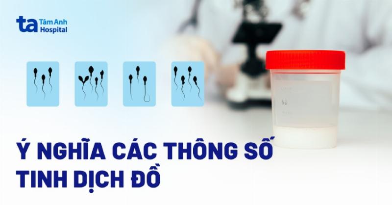 Hình ảnh tinh trùng dưới kính hiển vi thể hiện rõ khả năng di chuyển và hình dạng, điều không thể thấy khi kiểm tra tinh trùng bằng mắt thường
