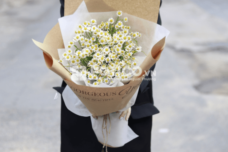 Chùm hoa cẩm tú cầu xanh dương nở rộ trên cây, mang vẻ đẹp tươi mát và cuốn hút