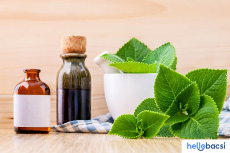 So sánh các phương pháp sử dụng lá húng chanh (sống vs chín)