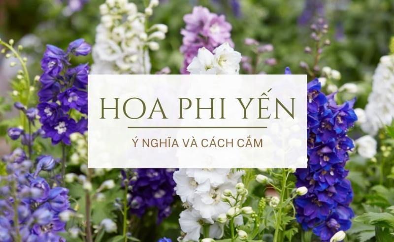 Minh họa cách cắm hoa Phi Yến vào bình cao tạo dáng đứng sang trọng và thanh thoát.