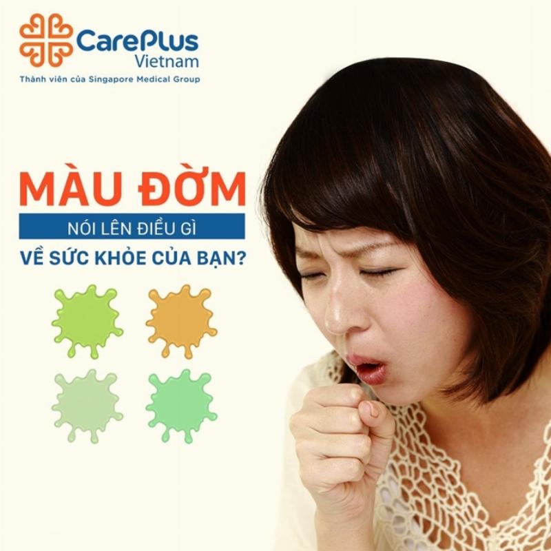 Một bó hoa gồm bông hồng vàng, hoa cúc trắng nhỏ, và lá khuynh diệp
