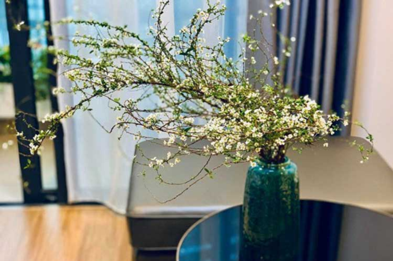 Những cách kết hợp bông thanh liễu hài hòa với các loài hoa khác trong bó và bình hoa.