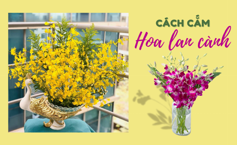Một bình hoa kết hợp cành tuyết mai trắng với vài cành đào nhỏ và hoa cúc vàng, thể hiện sự hòa quyện giữa các loài hoa Tết truyền thống.
