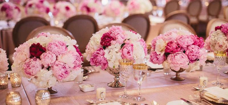 Giải đáp chi tiết về mùa vụ, cách nhận biết hoa thật và tự làm hoa cưới calla lily