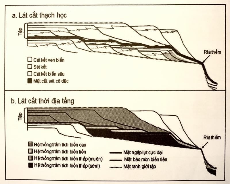 Mặt cắt tầng đất thể hiện quá trình hình thành đất qua thời gian