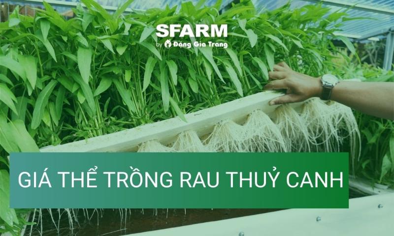 Cách phối trộn đất trồng rau tại nhà với các loại phân bón và giá thể