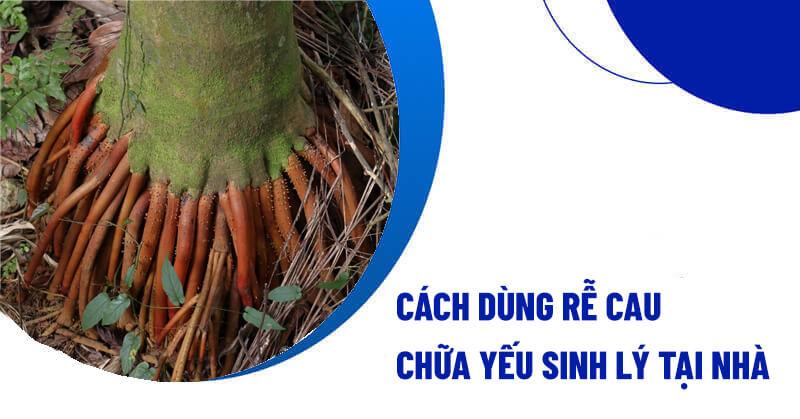 Hinh anh re cay cau say kho duoc chuan bi lam nguyen lieu bai thuoc dan gian