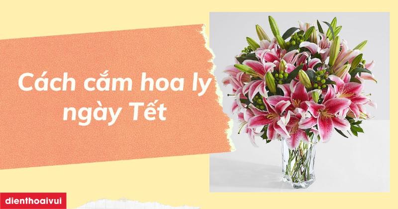 So sánh hình dáng và đặc điểm giữa hoa calla lily và hoa loa kèn (true lily)