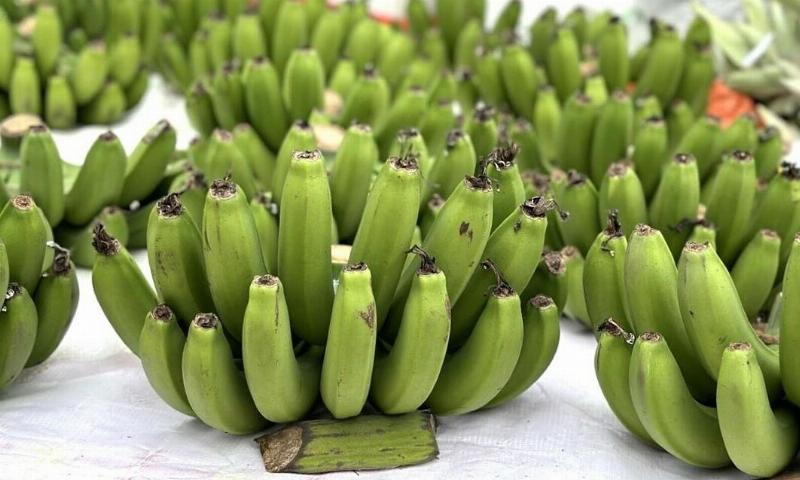 Ảnh chụp hai nải chuối đặt cạnh nhau, một nải chín vàng (tiêu hồng), một nải xanh (tiêu xanh)