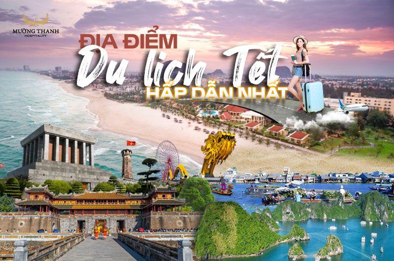 Lên kế hoạch và chọn đúng thời điểm giúp hoa giấy nở rộ vào dịp mong muốn