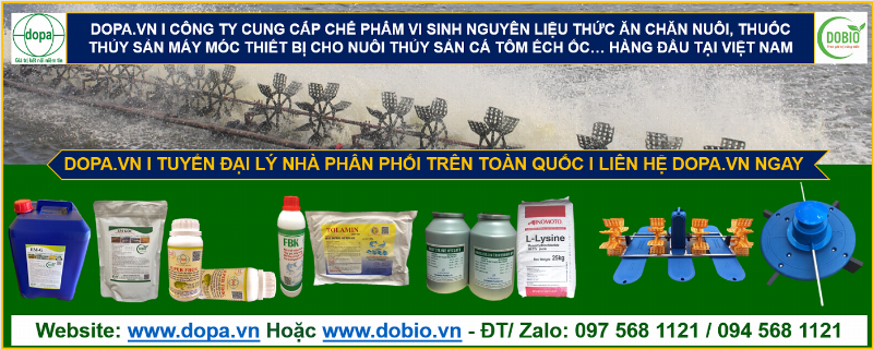Hình ảnh chai chế phẩm EM gốc đậm đặc được bày bán tại cửa hàng vật tư nông nghiệp thân thiện môi trường