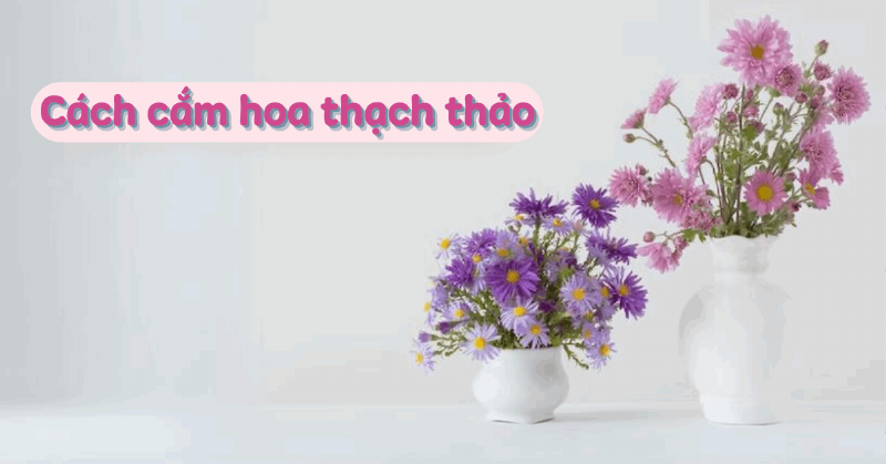 Khám phá ý nghĩa sâu sắc và vẻ đẹp biểu tượng của những bông thanh liễu mỏng manh.