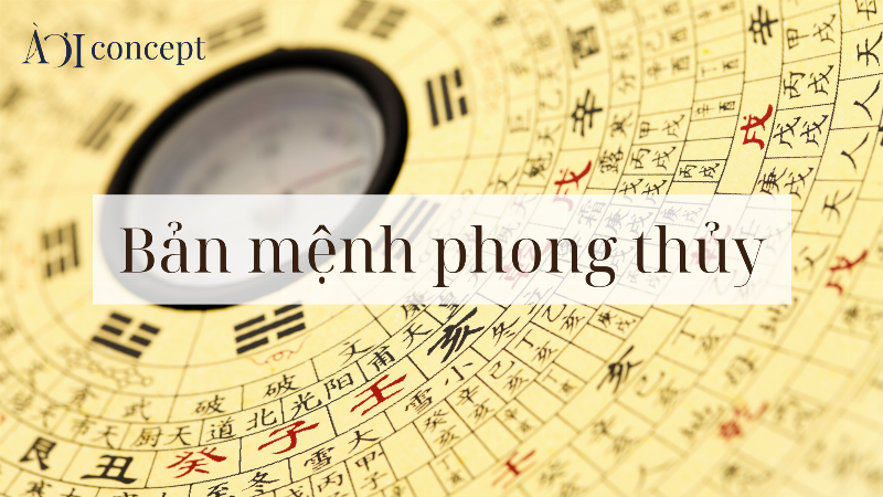 Bố cục hoa phong thủy cho người sinh năm 1999 mệnh Thổ, kết hợp màu sắc hài hòa