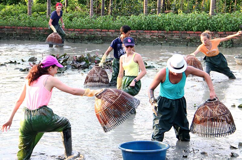 Hình ảnh một bó hoa được phối hợp tinh tế giữa nhiều loại hoa khác nhau, thể hiện sự hài hòa và đa dạng ý nghĩa.