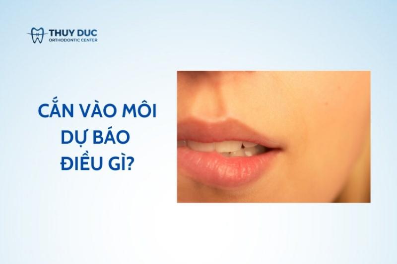 Hình ảnh cận cảnh miệng với hàm răng và môi, gợi ý về khía cạnh y học, nha khoa liên quan đến việc cắn môi, giải mã cắn vào môi là điềm gì từ góc độ sức khỏe.