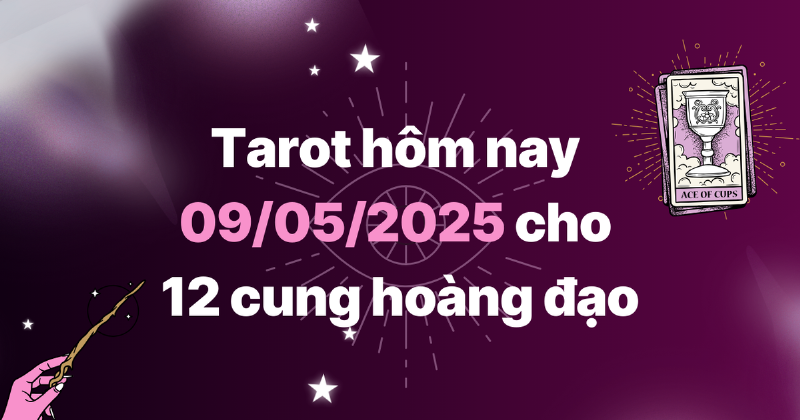 Cây kim tiền biểu tượng cho sự thịnh vượng và ổn định, rất phù hợp với ý nghĩa của The Emperor trong tình yêu.