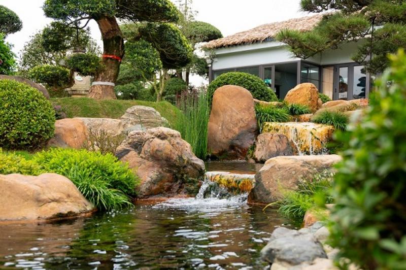 Hình ảnh cận cảnh bàn tay đang nhẹ nhàng chăm sóc một cây hoa nhỏ, có thể đang bón phân hoặc tưới nước, thể hiện sự tỉ mỉ và chính xác trong công việc chăm sóc cây