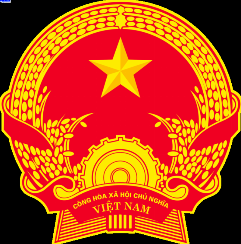 Các dụng cụ và hoạt động chăm sóc hoa tươi tại nhà