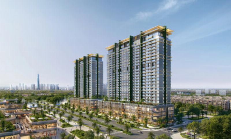 Hướng dẫn chăm sóc hoa Lan Hồ Điệp tươi tốt cho người sinh ngày 5 tháng 2 cung Bảo Bình