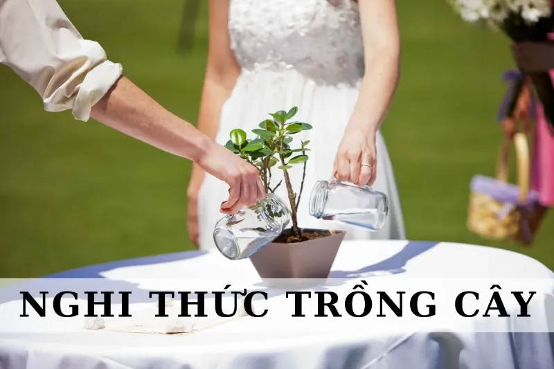 Hình ảnh một cặp đôi trẻ đang cùng nhau tưới cây trong vườn, tượng trưng cho việc vun đắp và chăm sóc mối quan hệ hôn nhân